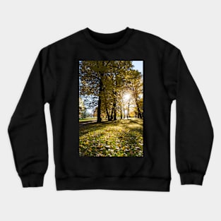 Autumn in Helsinki Crewneck Sweatshirt